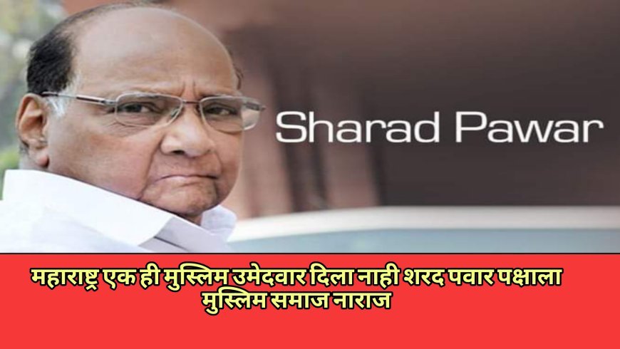 राष्ट्रवादी शरदचंद्र पवार पक्षात एक हि मुस्लिम उमेदवार नाही महाराष्ट्राचा मुस्लिम समाज नाराज