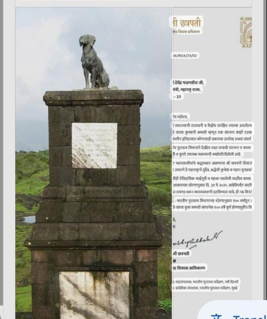 छत्रपती यांनी मुख्यमंत्री देवेंद्र फडणवीस यांना पत्र लिहले आहे. या पत्रात रायगडावर असलेल्या वाघ्या कुत्राची समाधी हटवण्याची मागणी करण्यात आली आहे. संभाजीराजेंनी पत्रात म्हटले आहे की, 'हिंदवी स्वराज्याची राजधानी दुर्गराज रायगड येथे श्री छत्रपती शिवाजी महाराजांच्या समाधीलगत कथित वाघ्या कुत्र्याची समाधी म्हणून एक संरचना काही दशकांपूर्वी उभारण्यात आलेली आहे. सदर वाघ्या कुत्रा नामक पात्राचा शिवकालीन इतिहासात